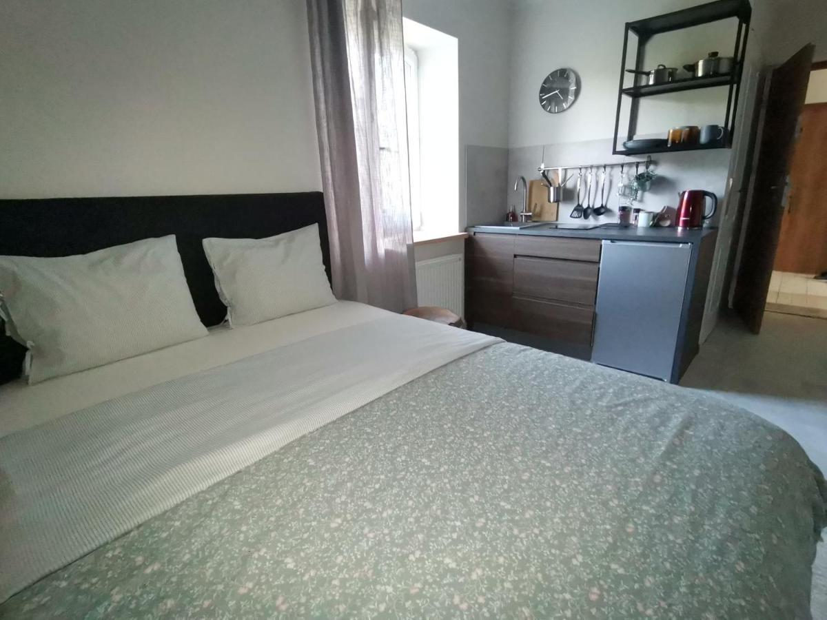 Motyl Apartamenty Studio Lub Pokoj Z Lazienka Bytom Bagian luar foto