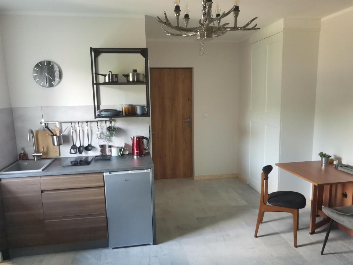 Motyl Apartamenty Studio Lub Pokoj Z Lazienka Bytom Bagian luar foto